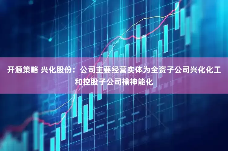 开源策略 兴化股份：公司主要经营实体为全资子公司兴化化工和控股子公司榆神能化