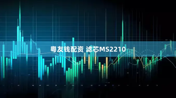 粤友钱配资 滤芯MS2210