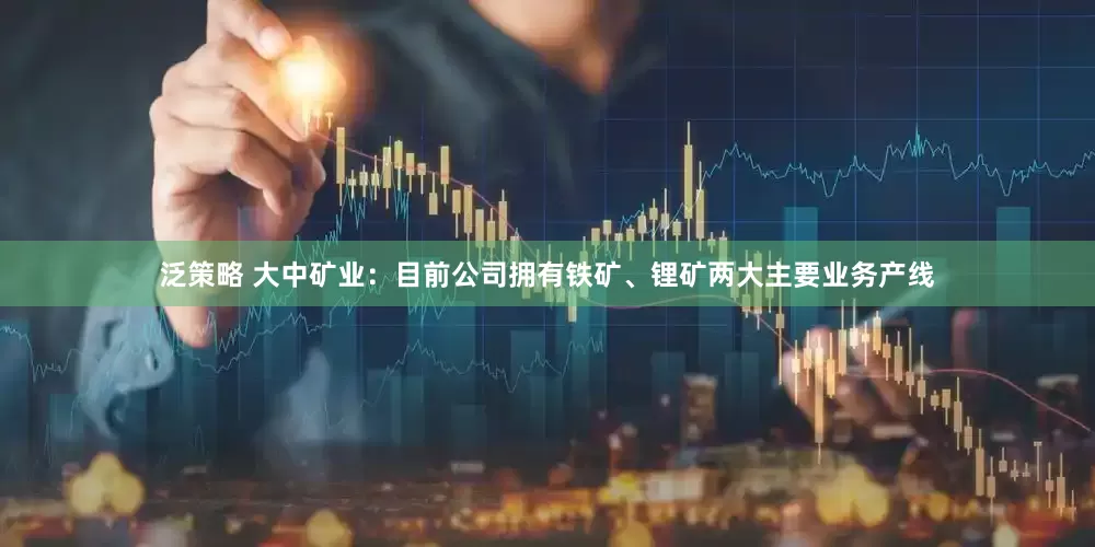 泛策略 大中矿业：目前公司拥有铁矿、锂矿两大主要业务产线